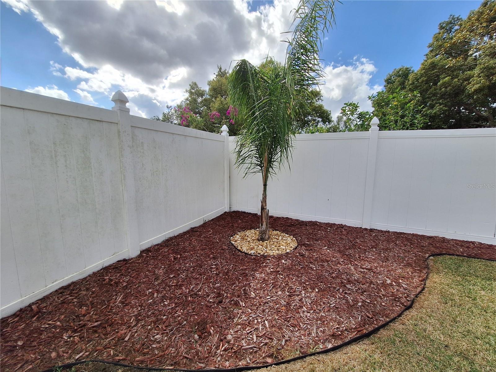 A New Palm in each corner and nice tall vinyl fencing