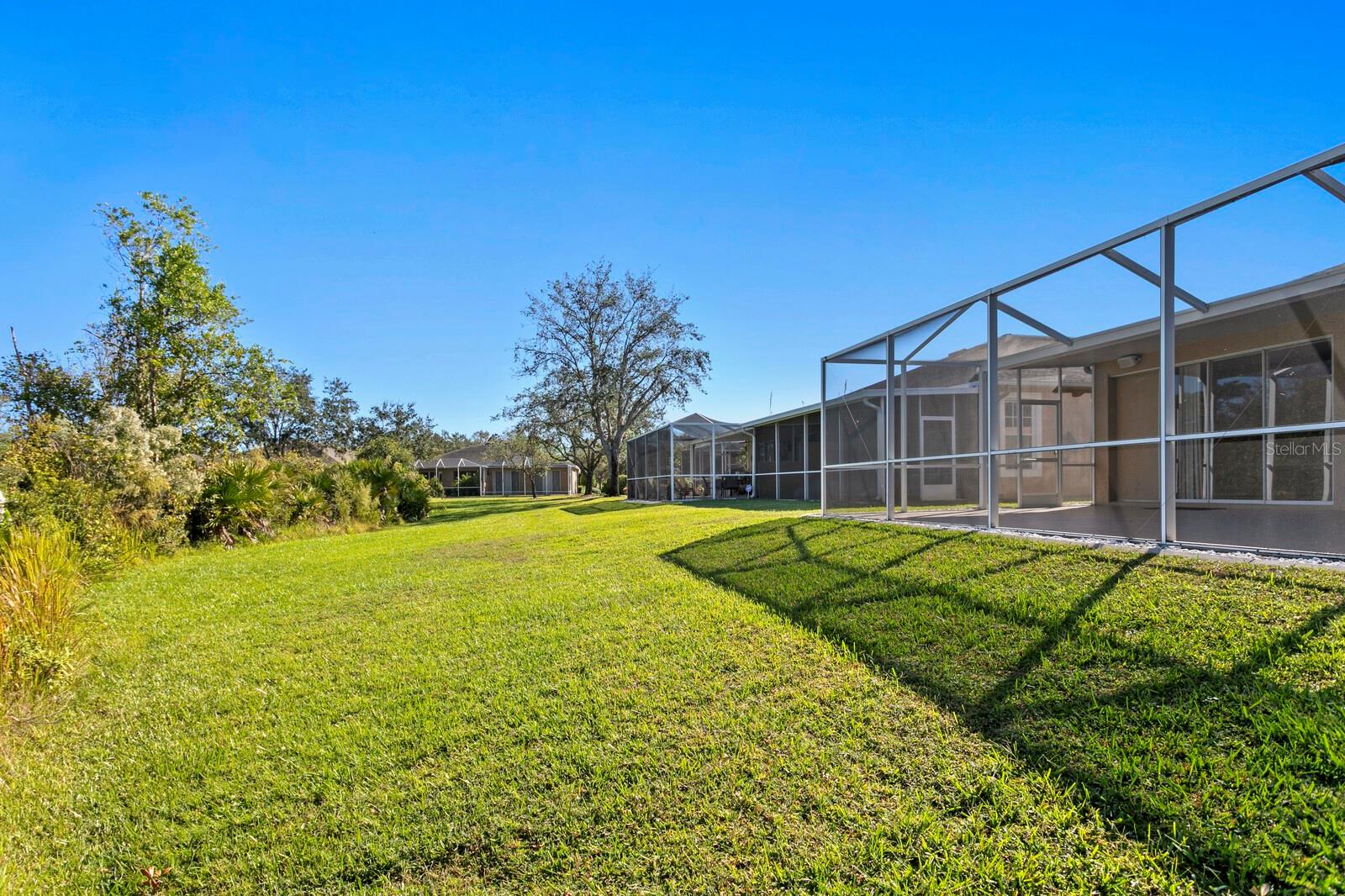 Large Backyard