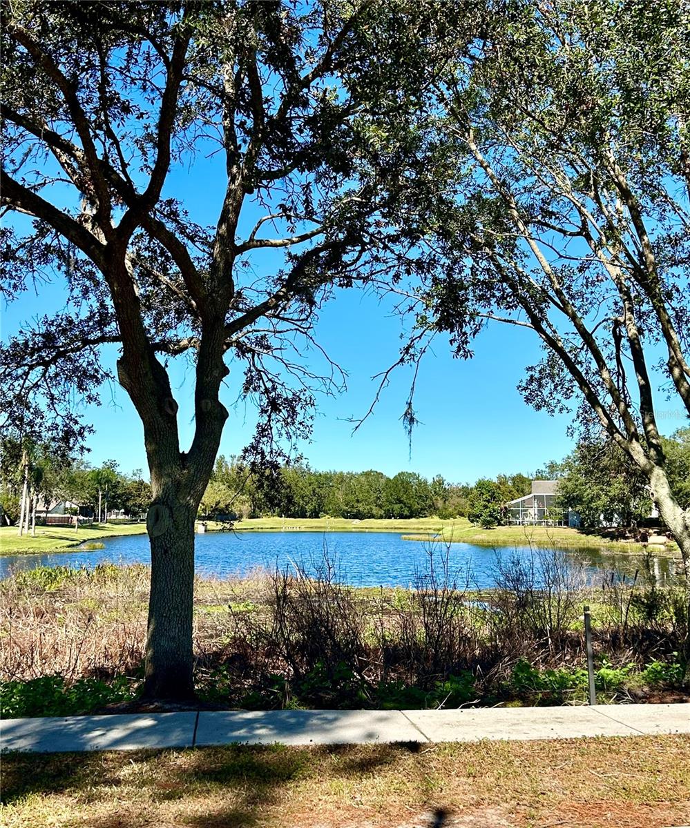 Community Pond and walk