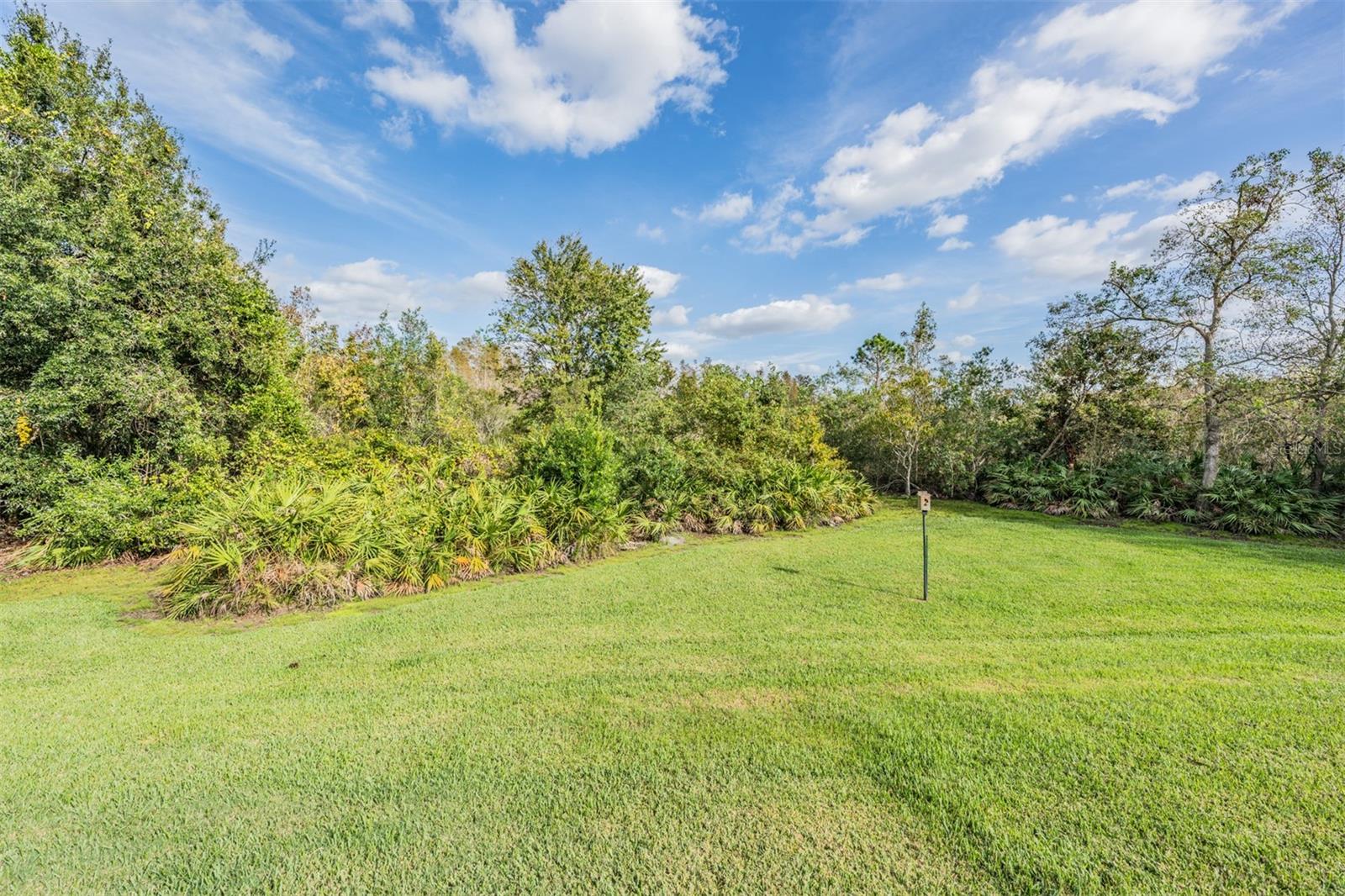 Huge Backyard on Conservation!