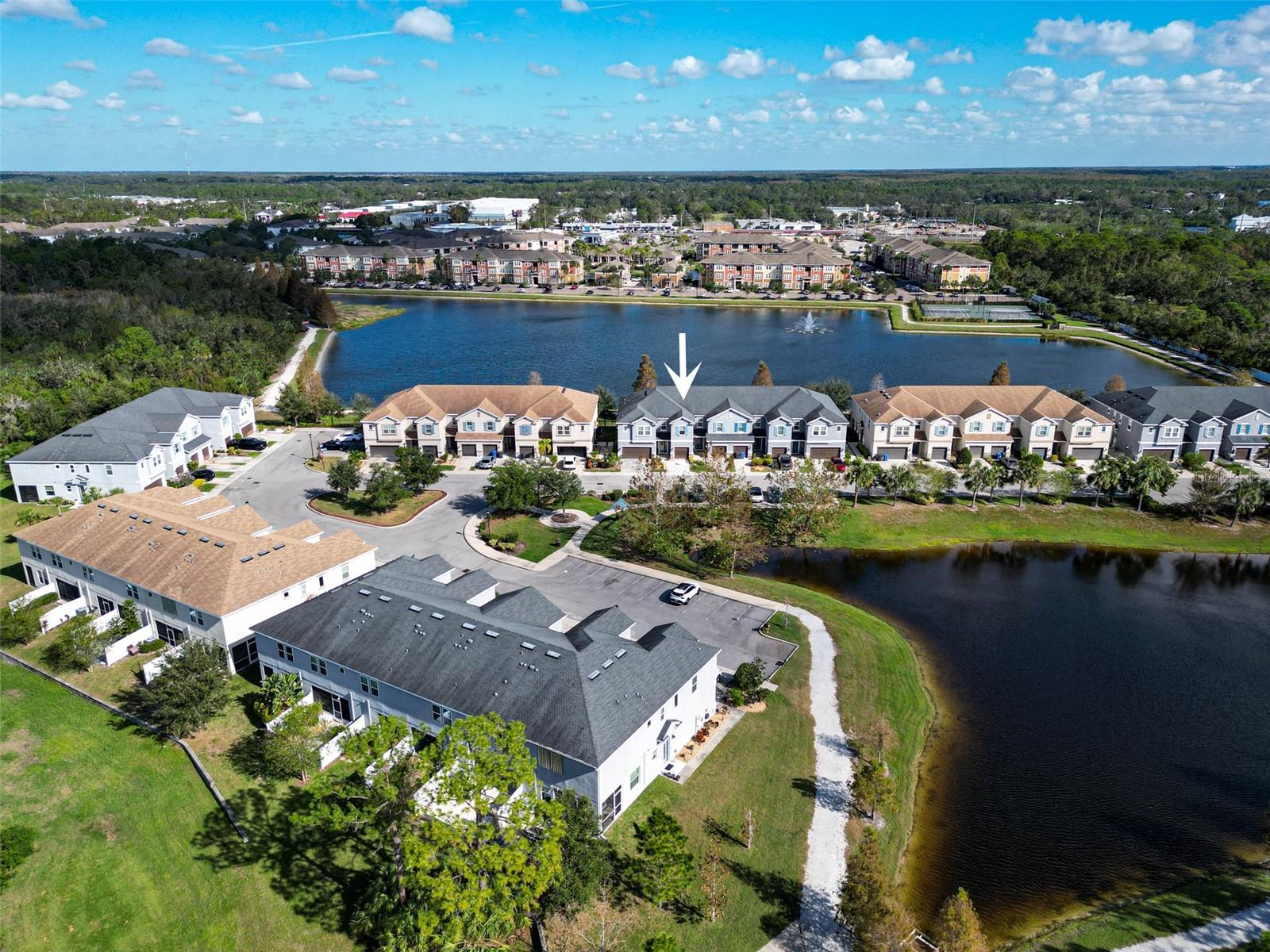 Aerial - Lake View