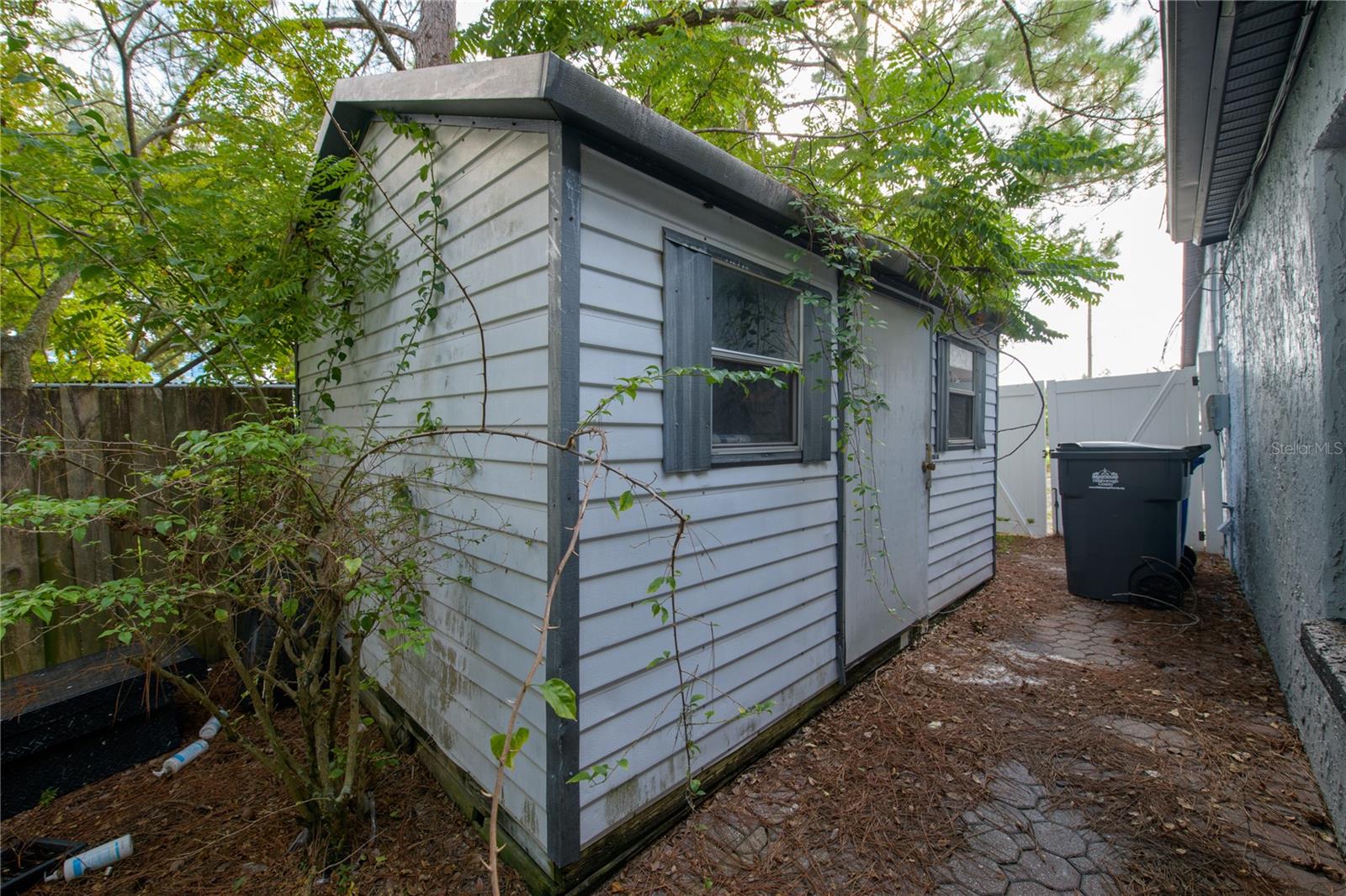 Spacious Shed