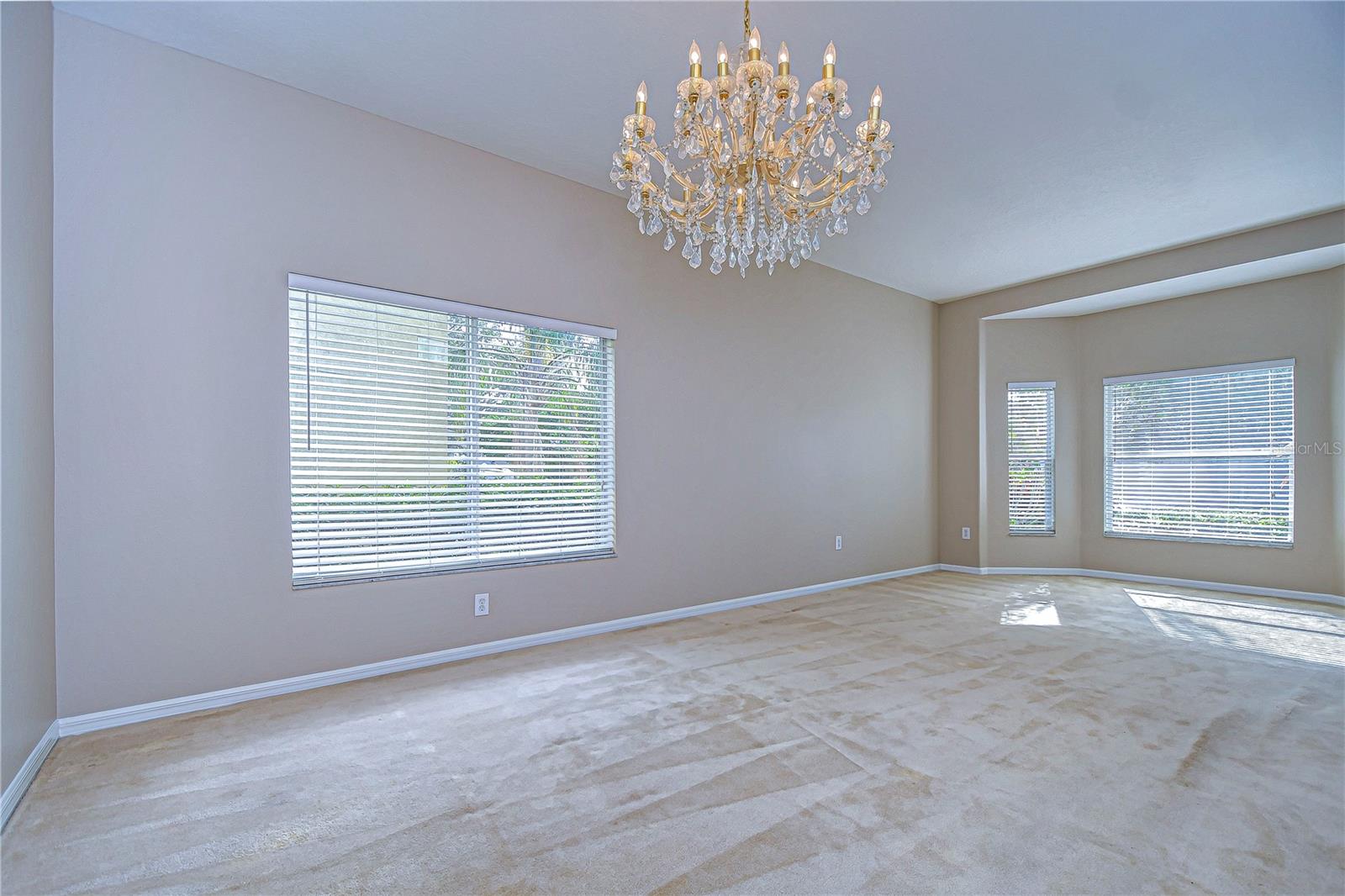 Living/Dining Room Combo