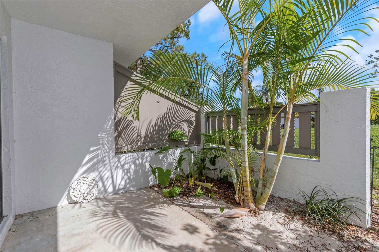 patio from the livingroom