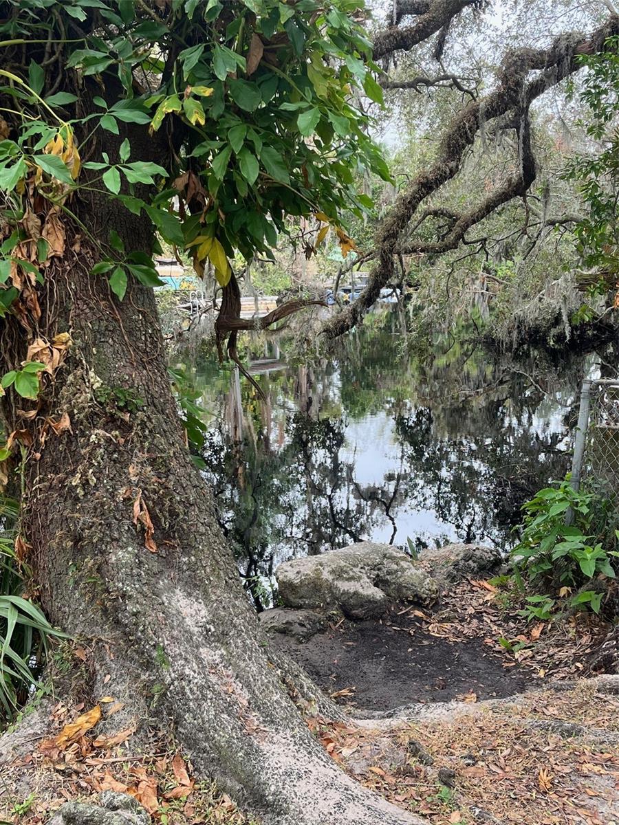 Hillsborough River at Alan Wright Park