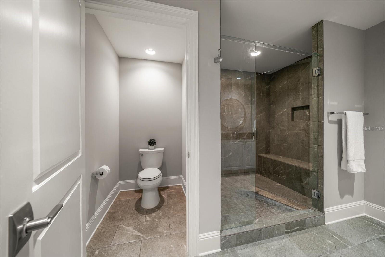 Primary Bathroom Shower & Water Closet