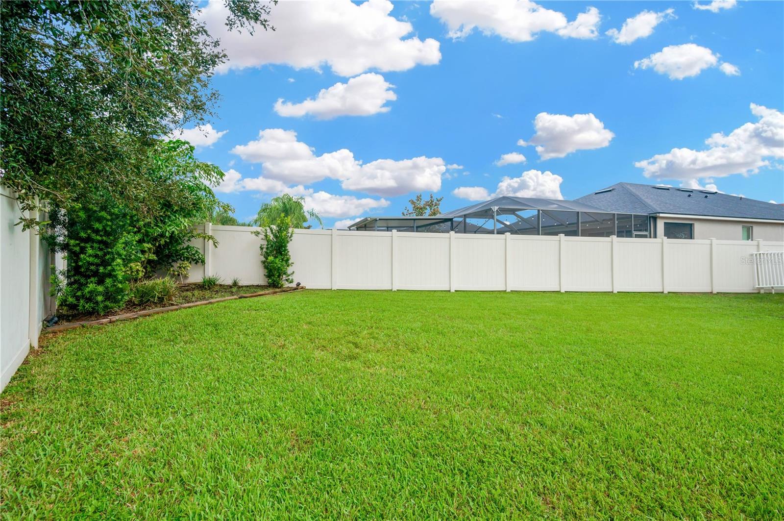 Partial backyard view