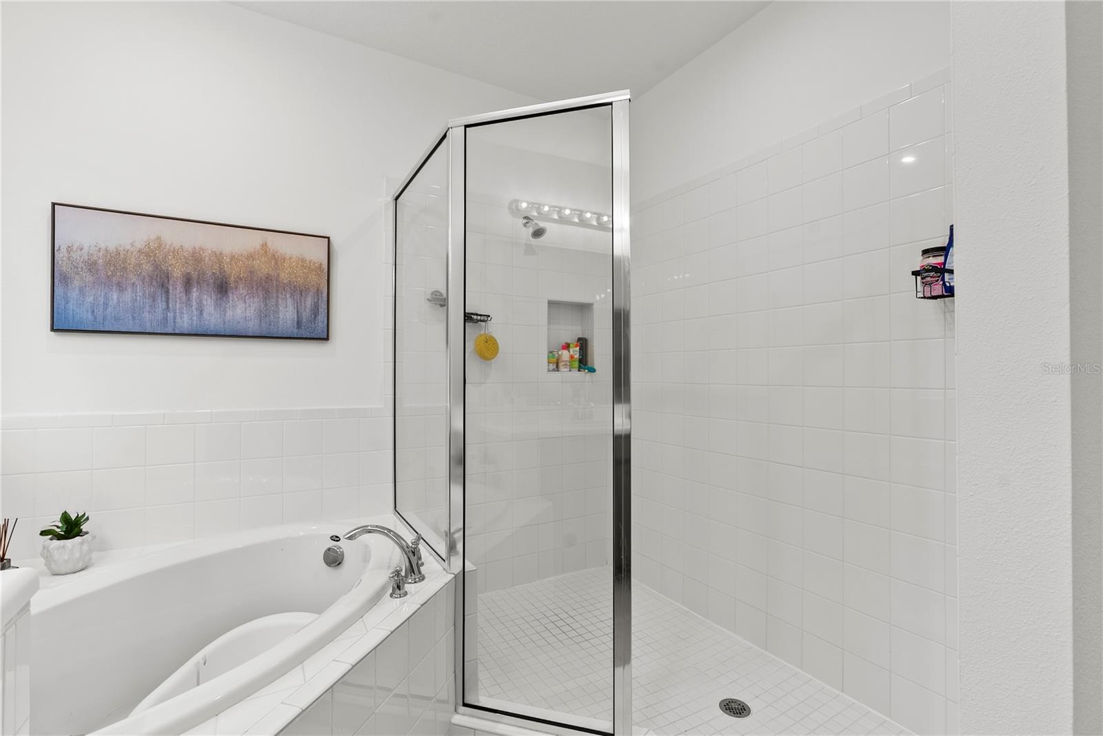 Separate tub and shower in the master bathroom.