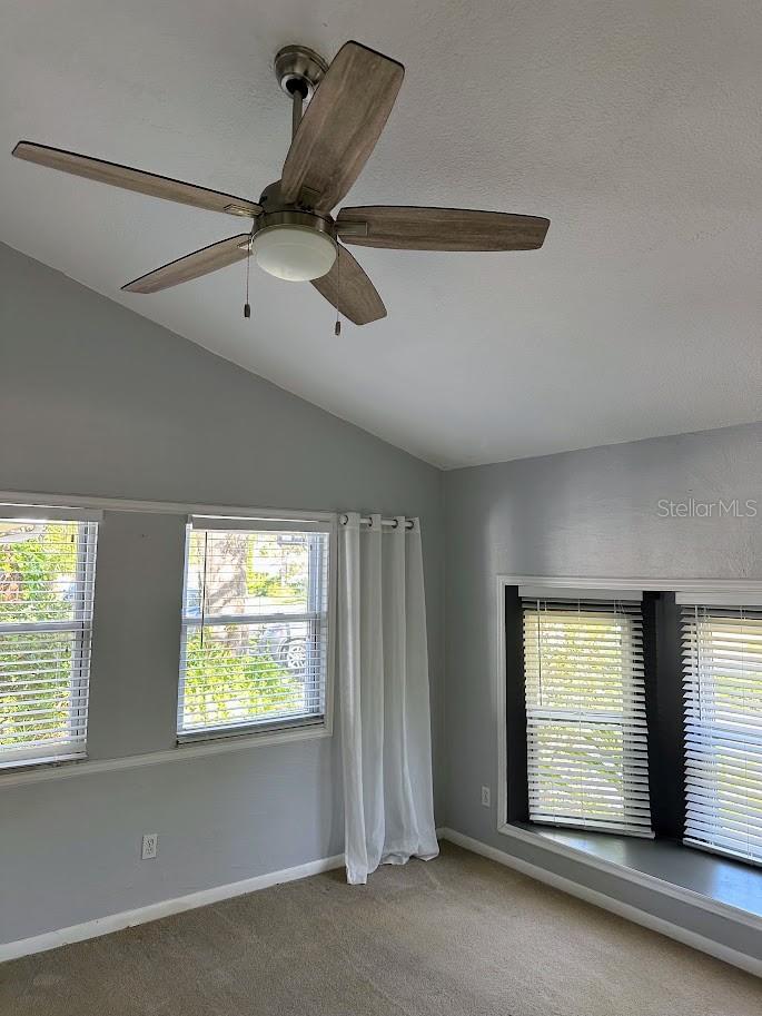 Master bedroom high ceilings