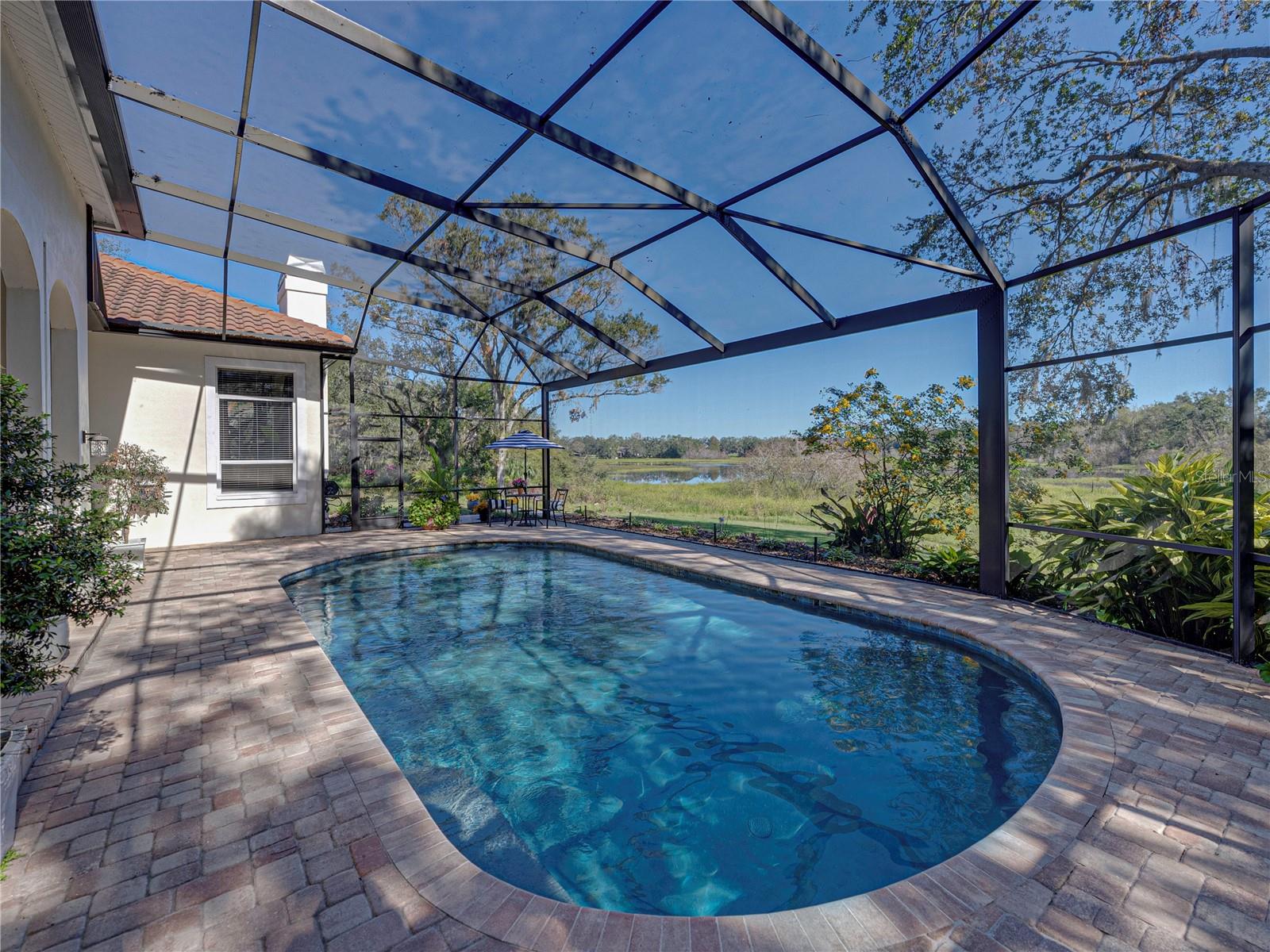 Panoramic Screened-in Pool area