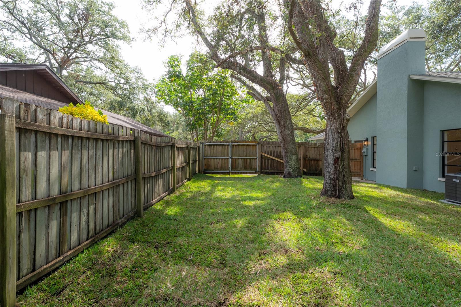 Double Gate into Back Yard