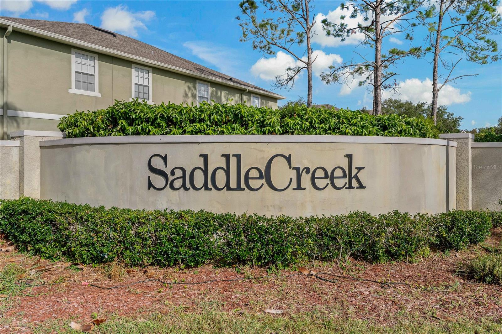 SADDLE CREEK COMMUNITY IN WESLEY CHAPEL!