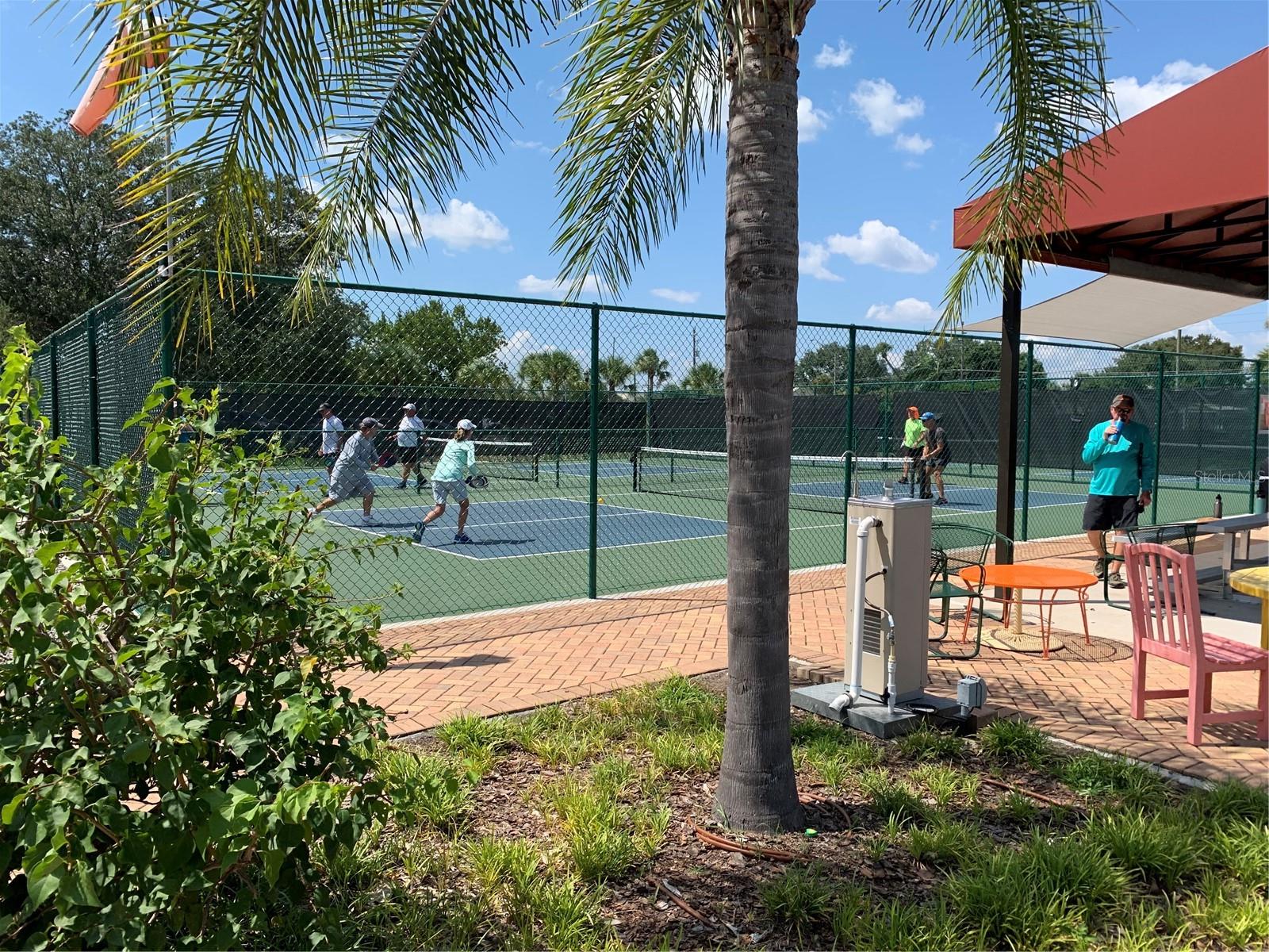 8-court pickleball complex