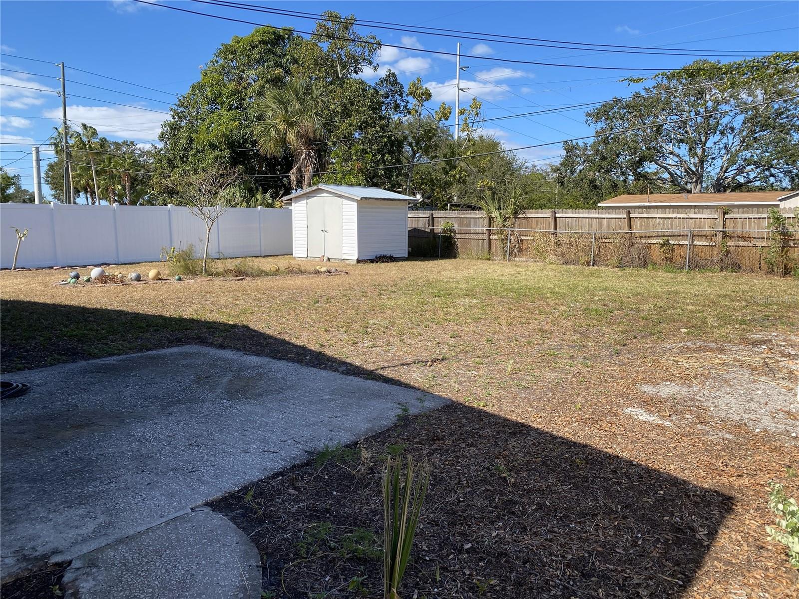 Shed in Back Yard