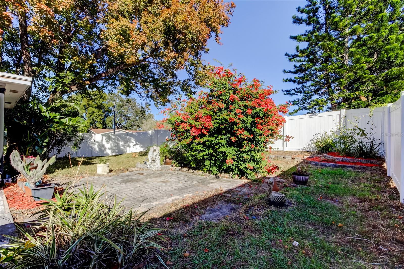 Backyard Fully Fenced