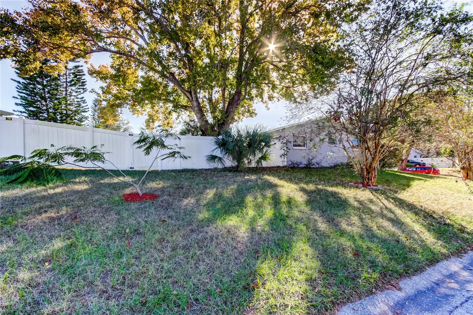 Side Yard-Large Corner Lot