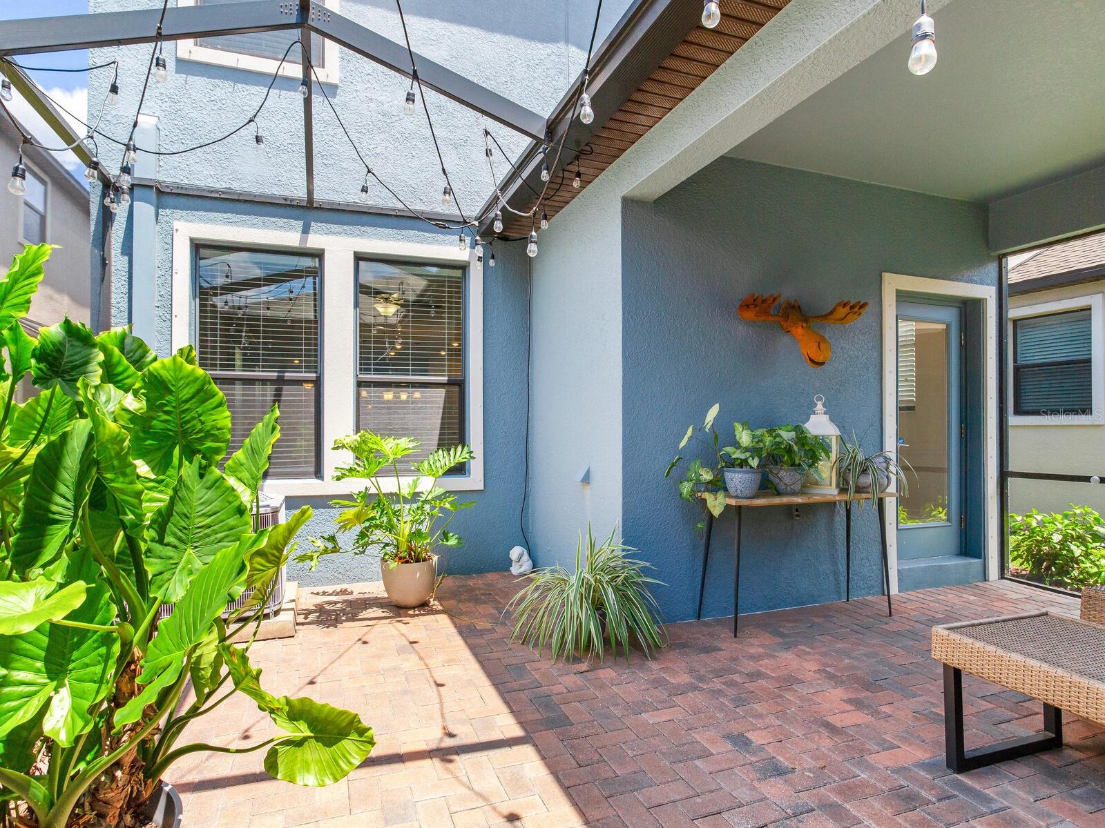 Patio/Courtyard