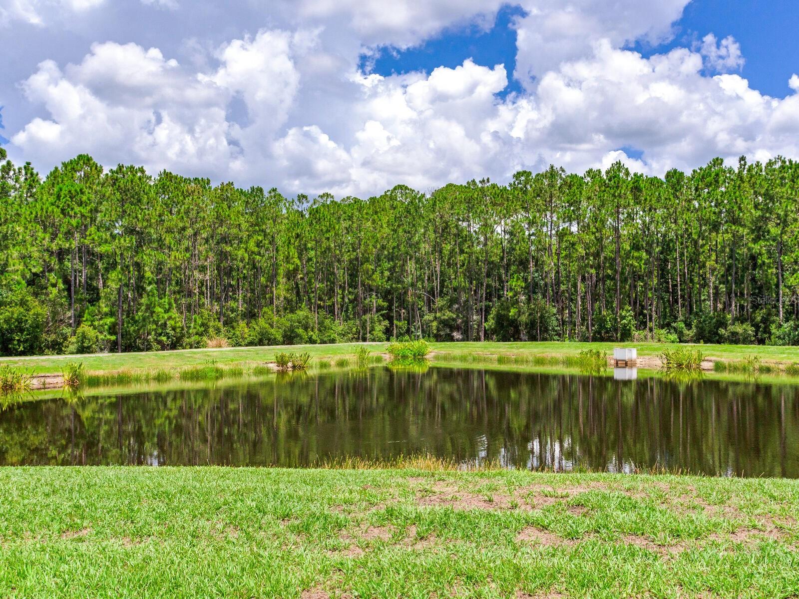 Community Pond