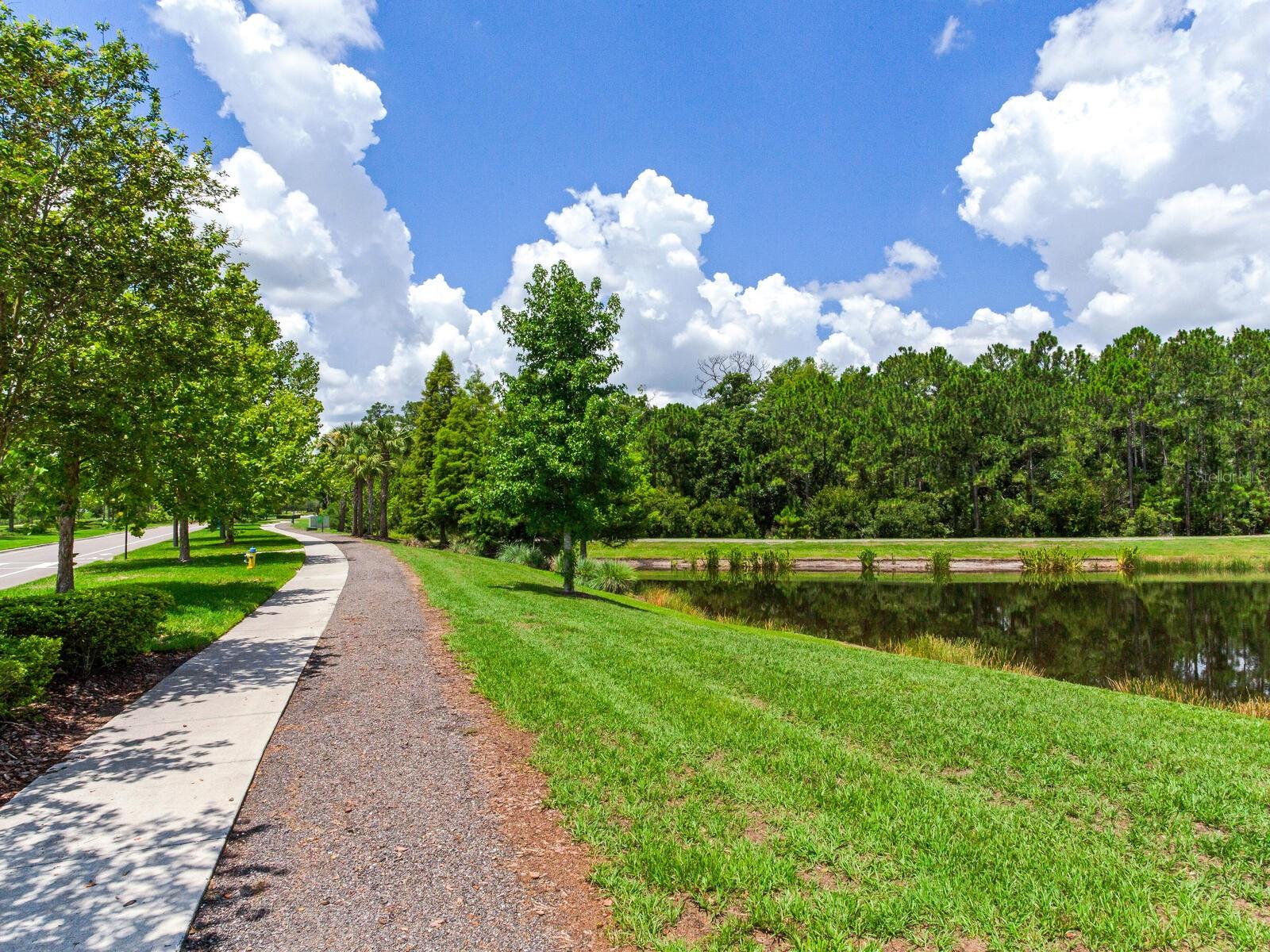 Hiking Trail