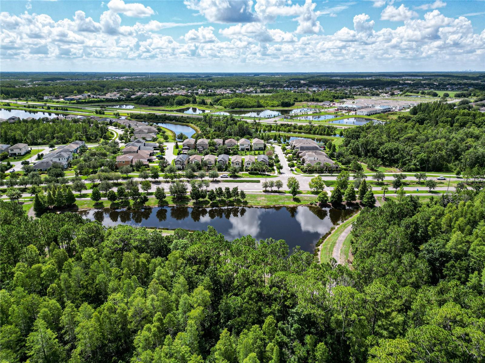 Aerial Pond and House