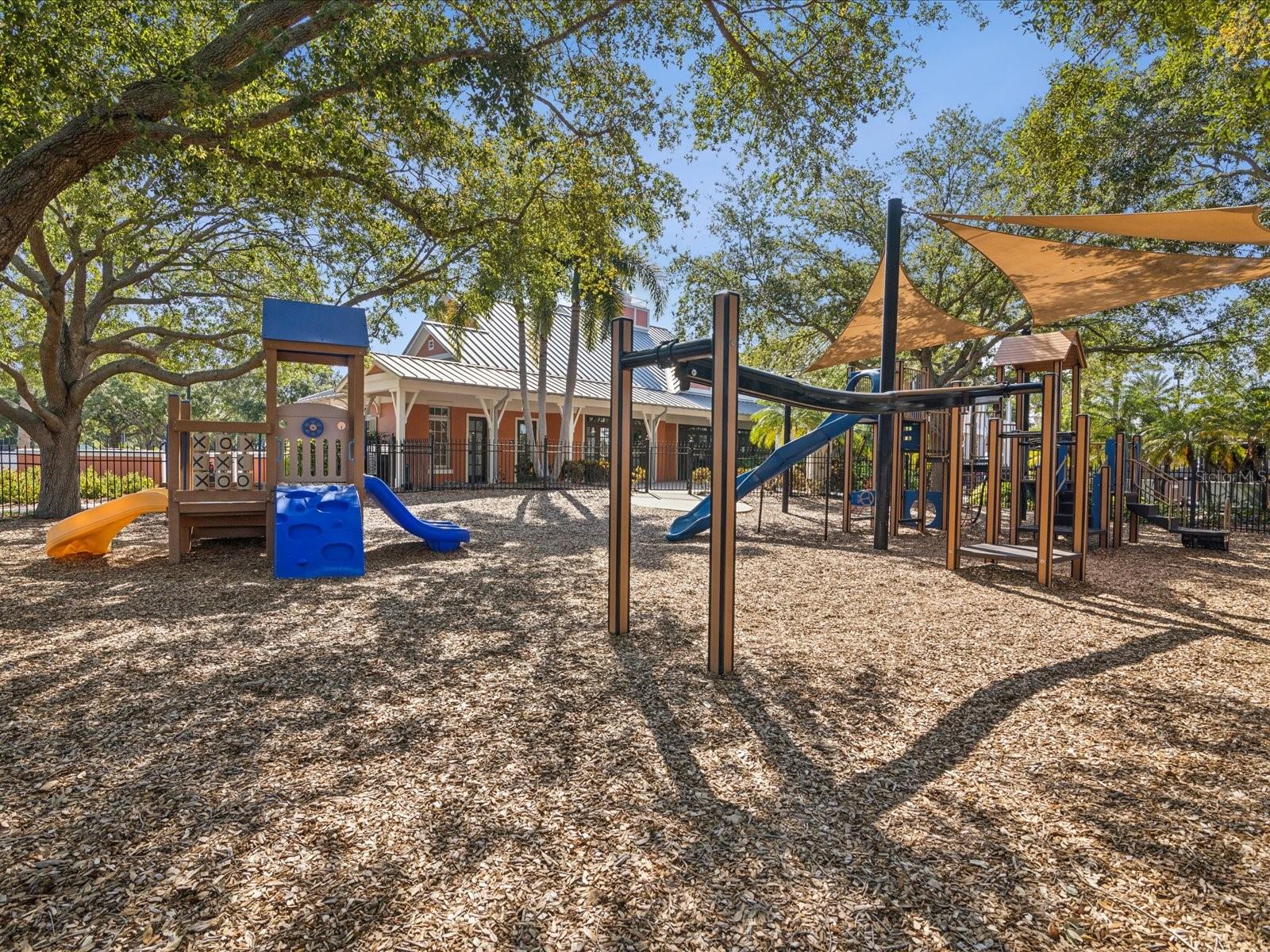 Miles of smiles can be found on this playground as days of playing tag on the jungle gym is fun for every age!