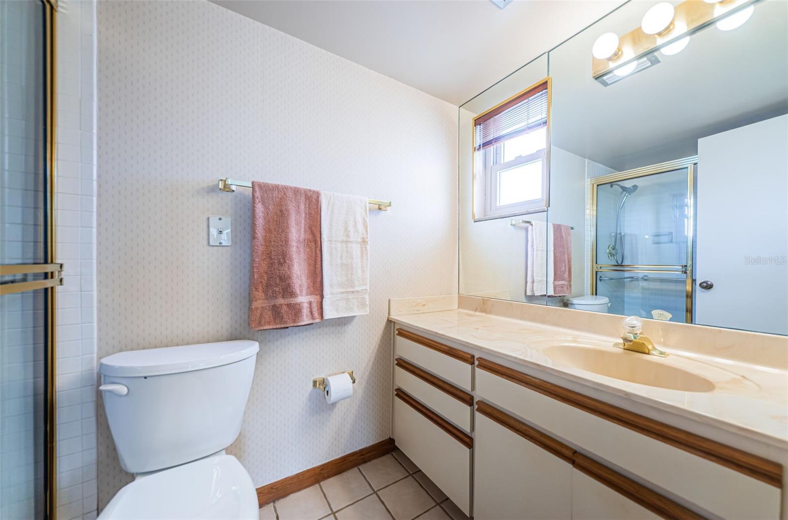 Primary bathroom with walk in shower and grab bars