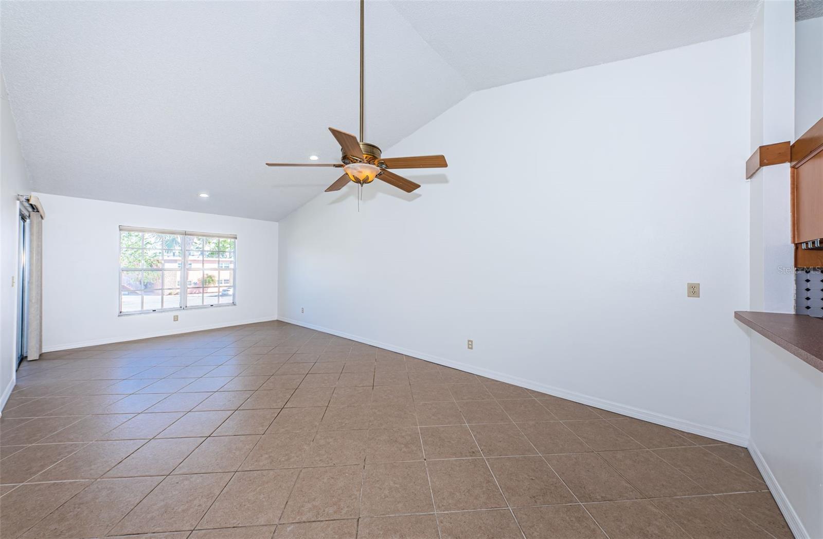 Dining /Living Room