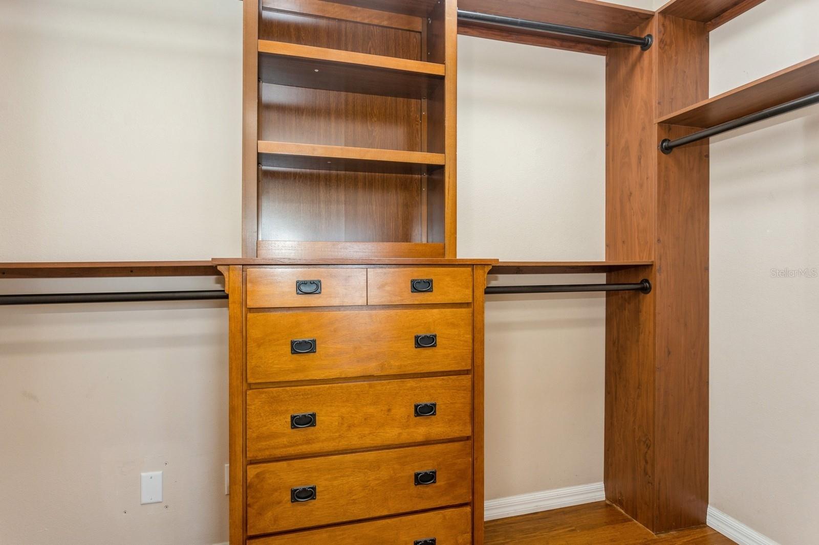 Primary closet built-in