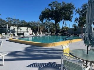 Lovely pool to gather around