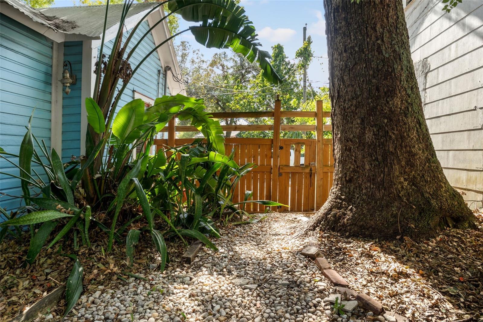 Side yard with view towards front.