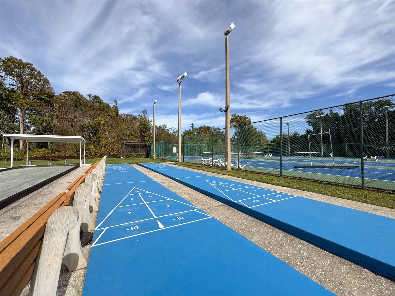 Shuffleboard