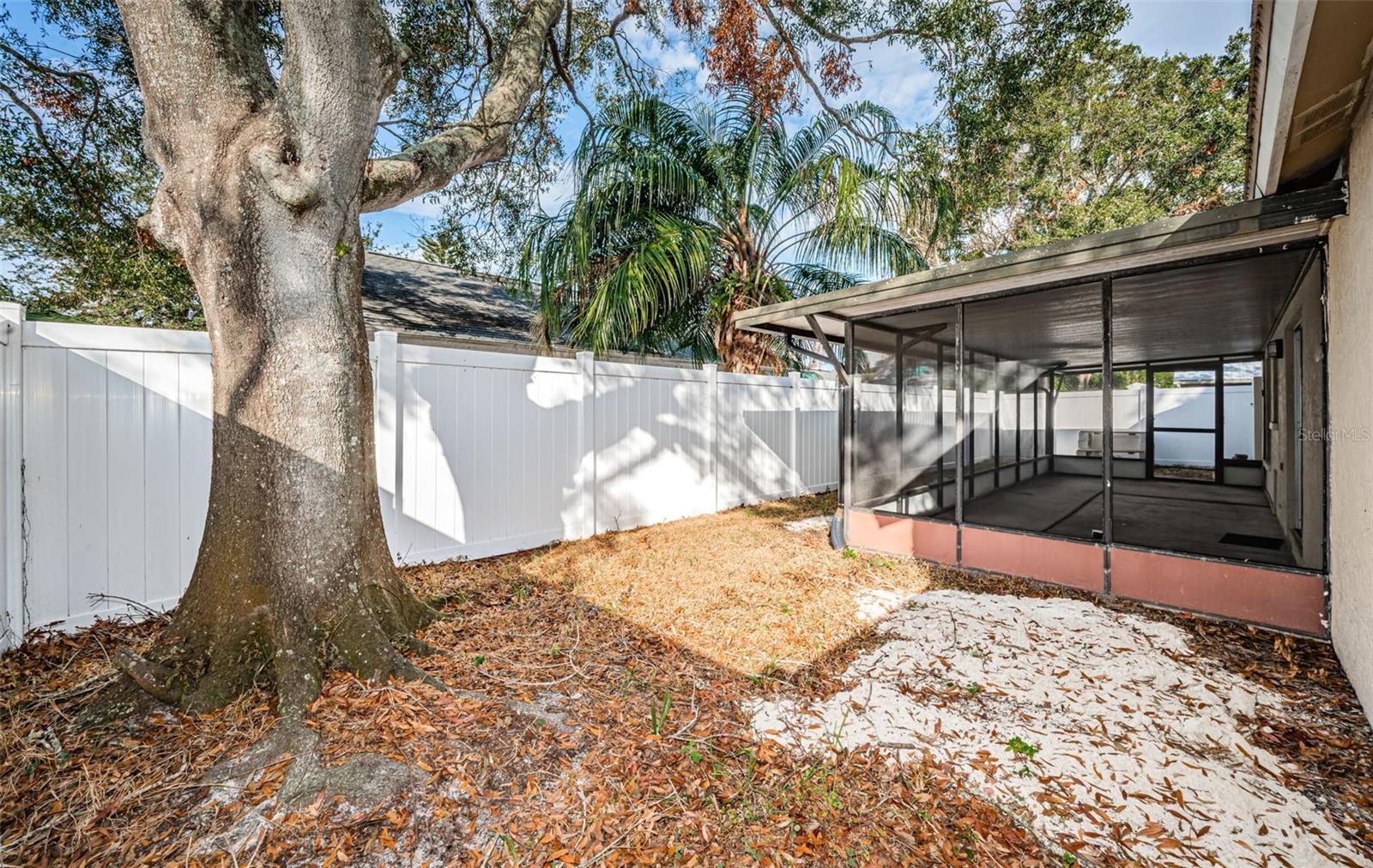 Backyard and newer vinyl privacy fence