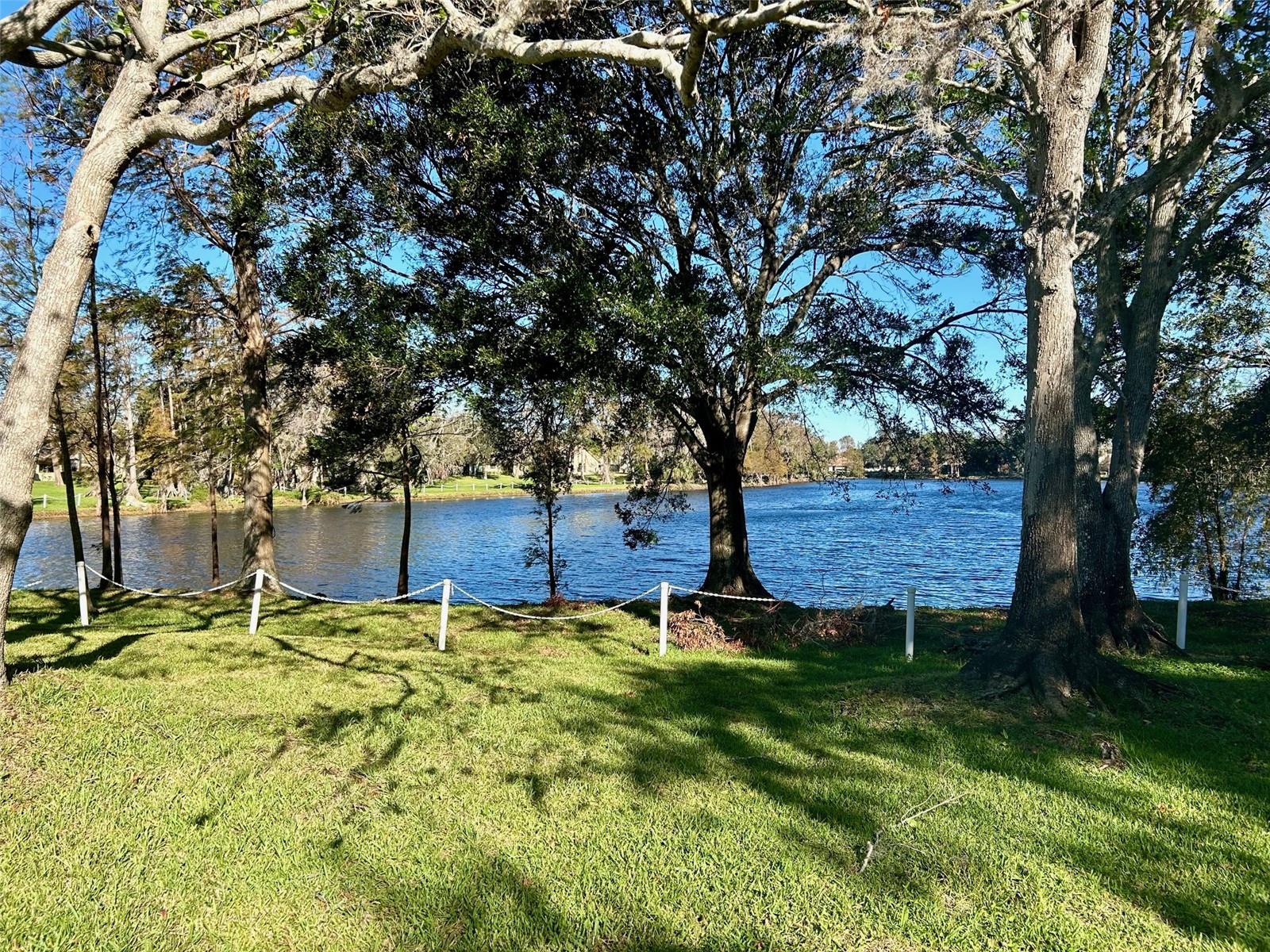 Tranquil Views Of The Lake