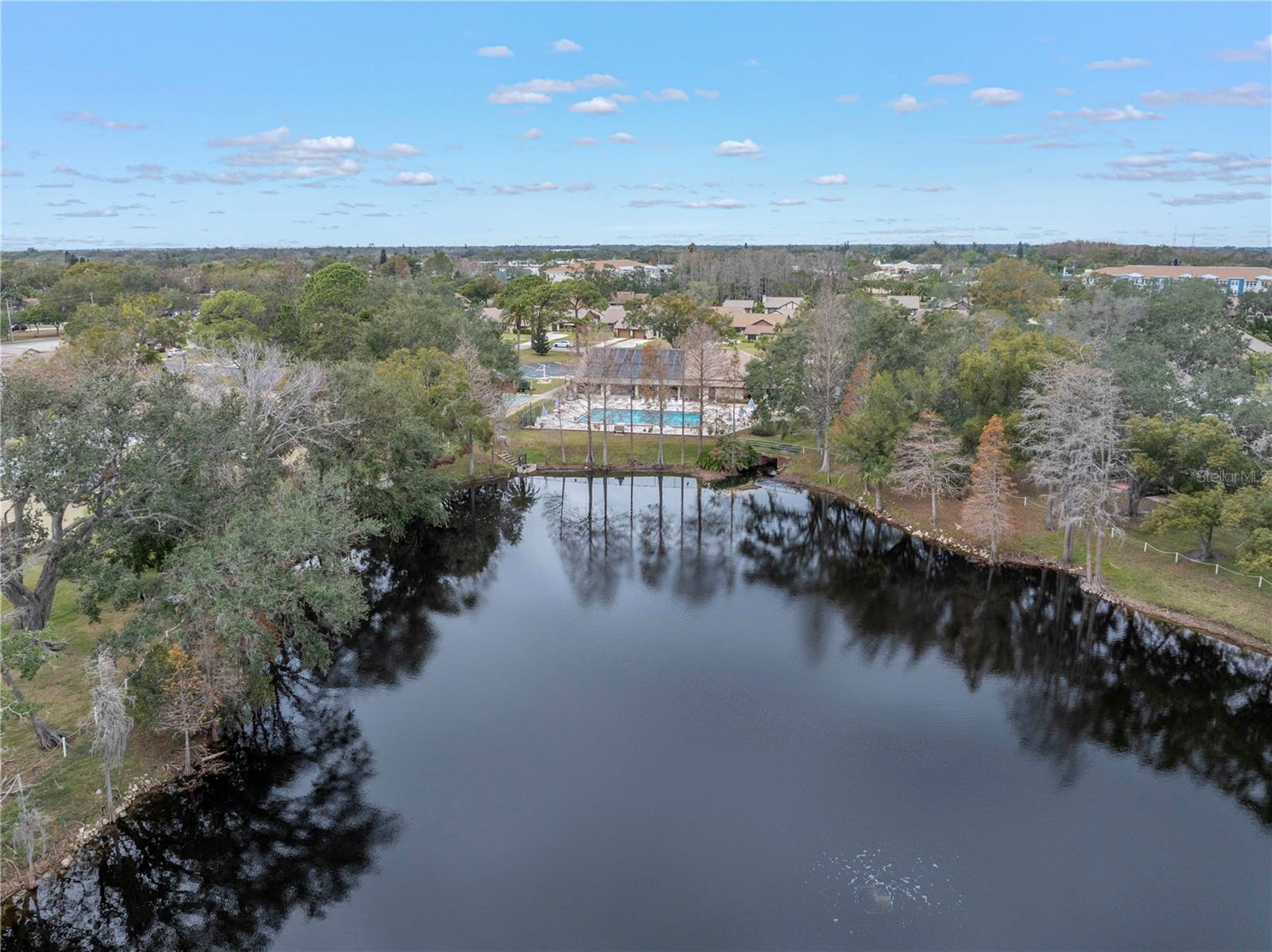 Tranquil Lake Views