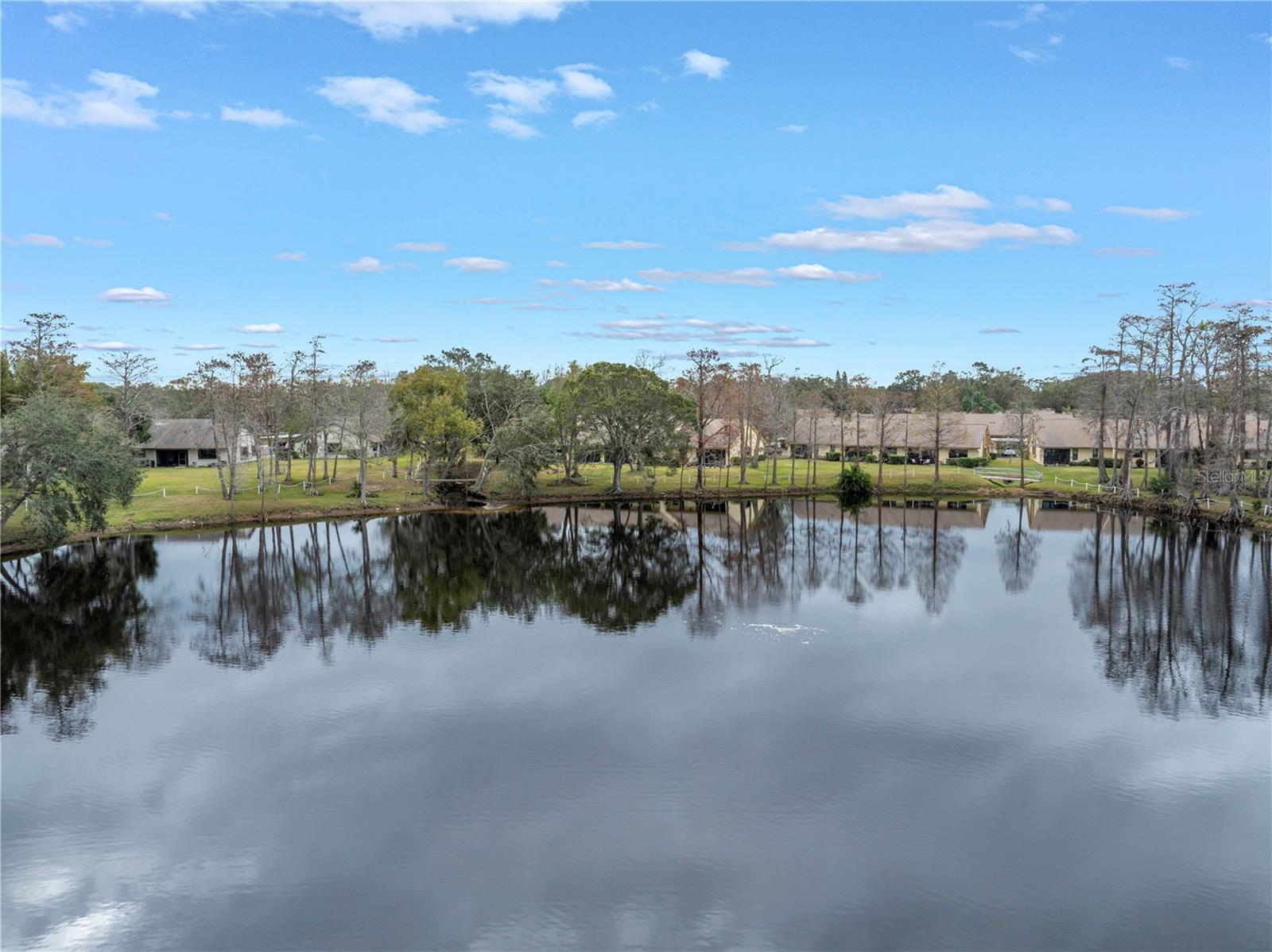 Tranquil Lake Views