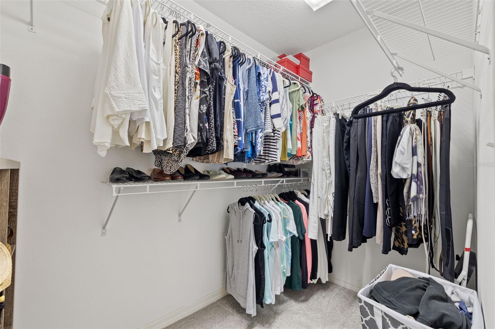 Walk-in Primary Closet