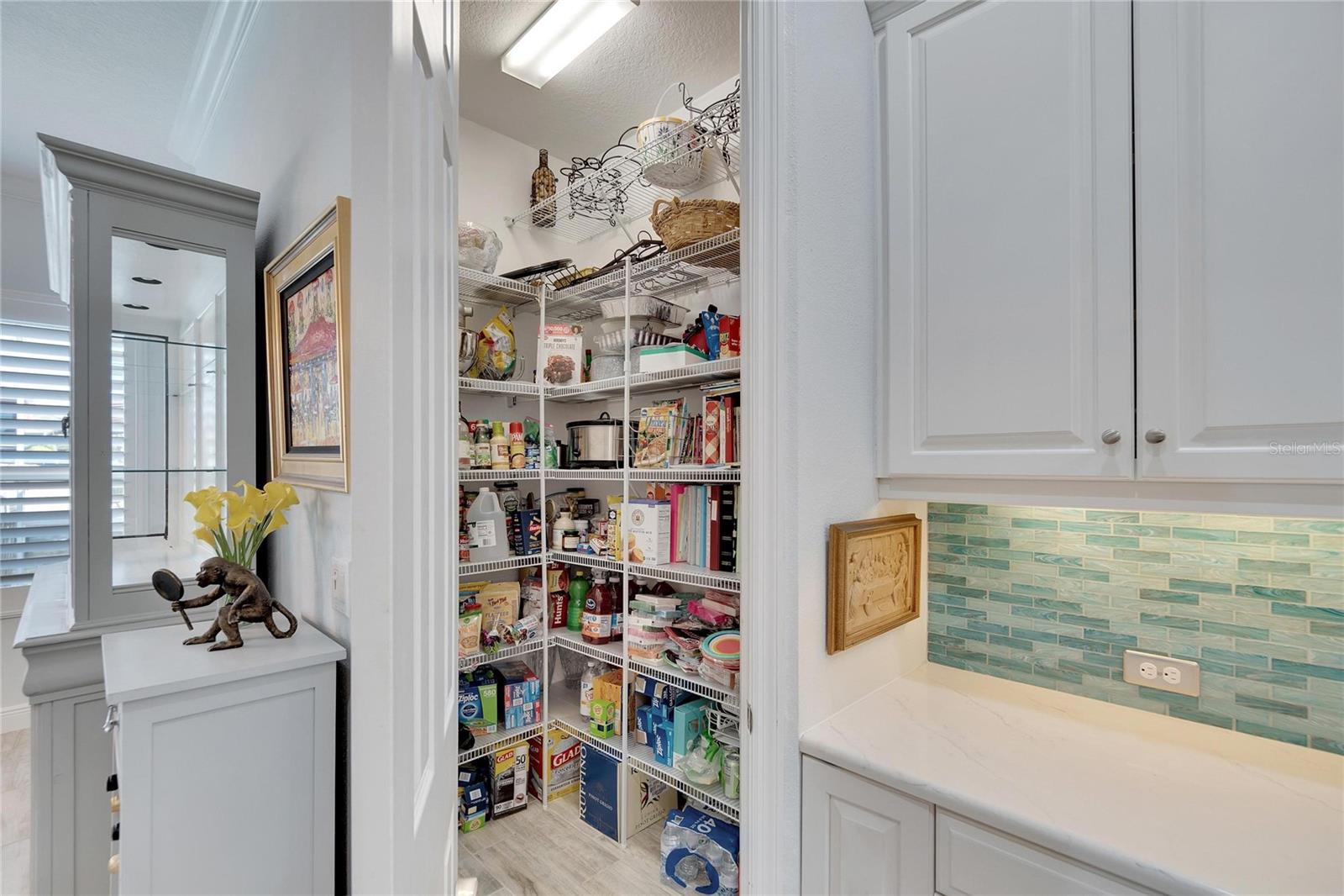 Kitchen Pantry