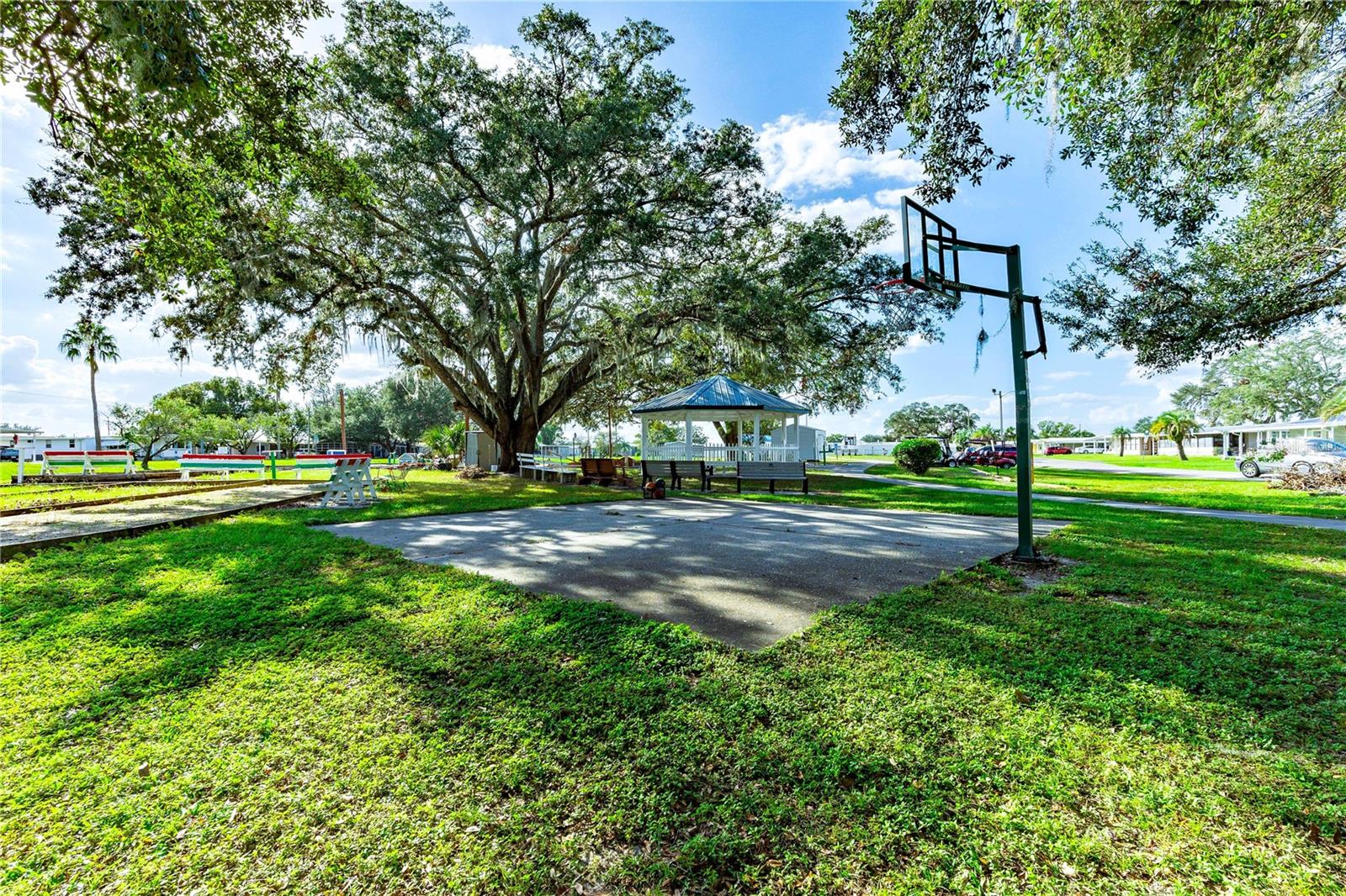 Community basketball court for your grandkids!