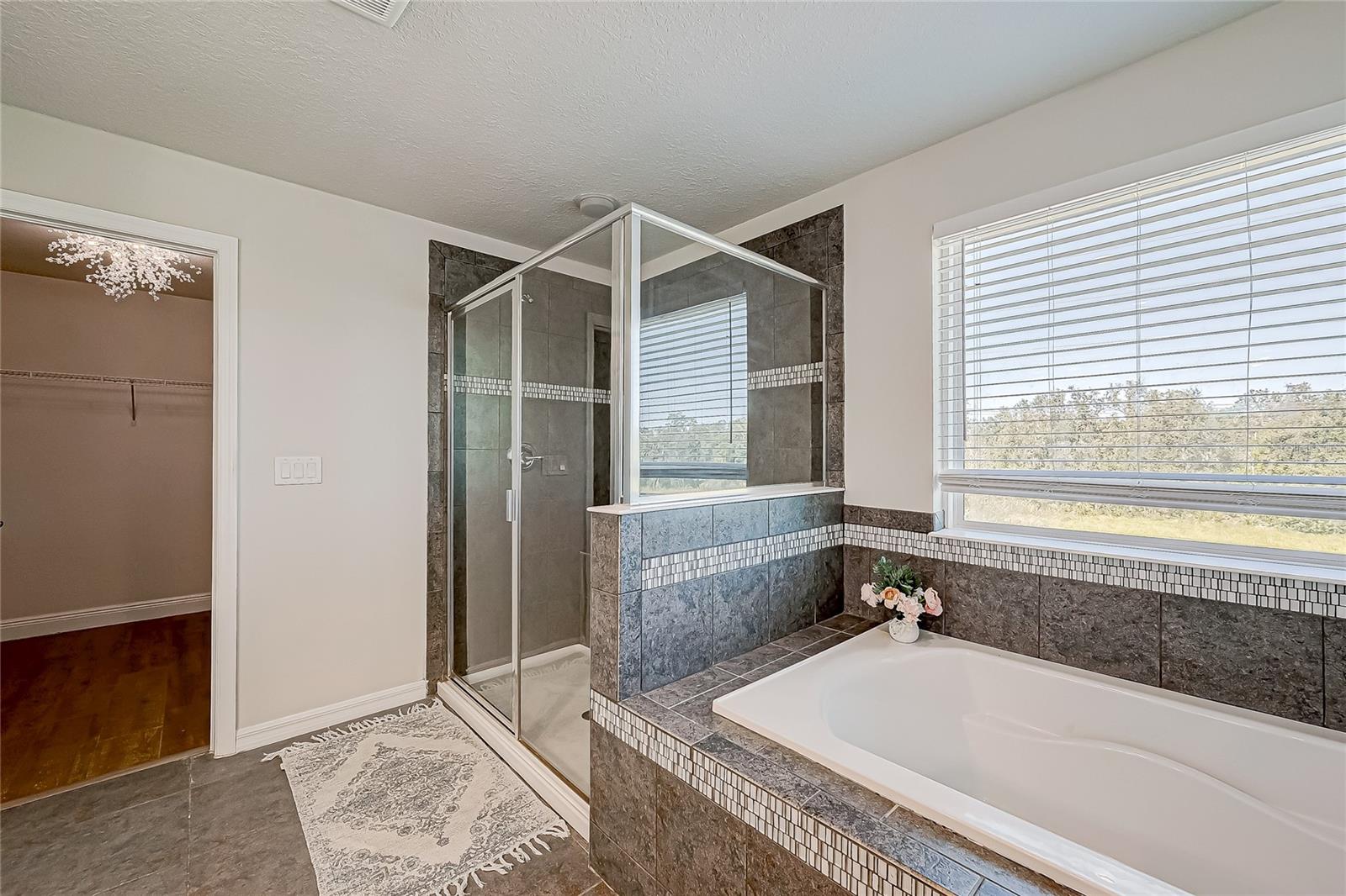 Master suite bathroom