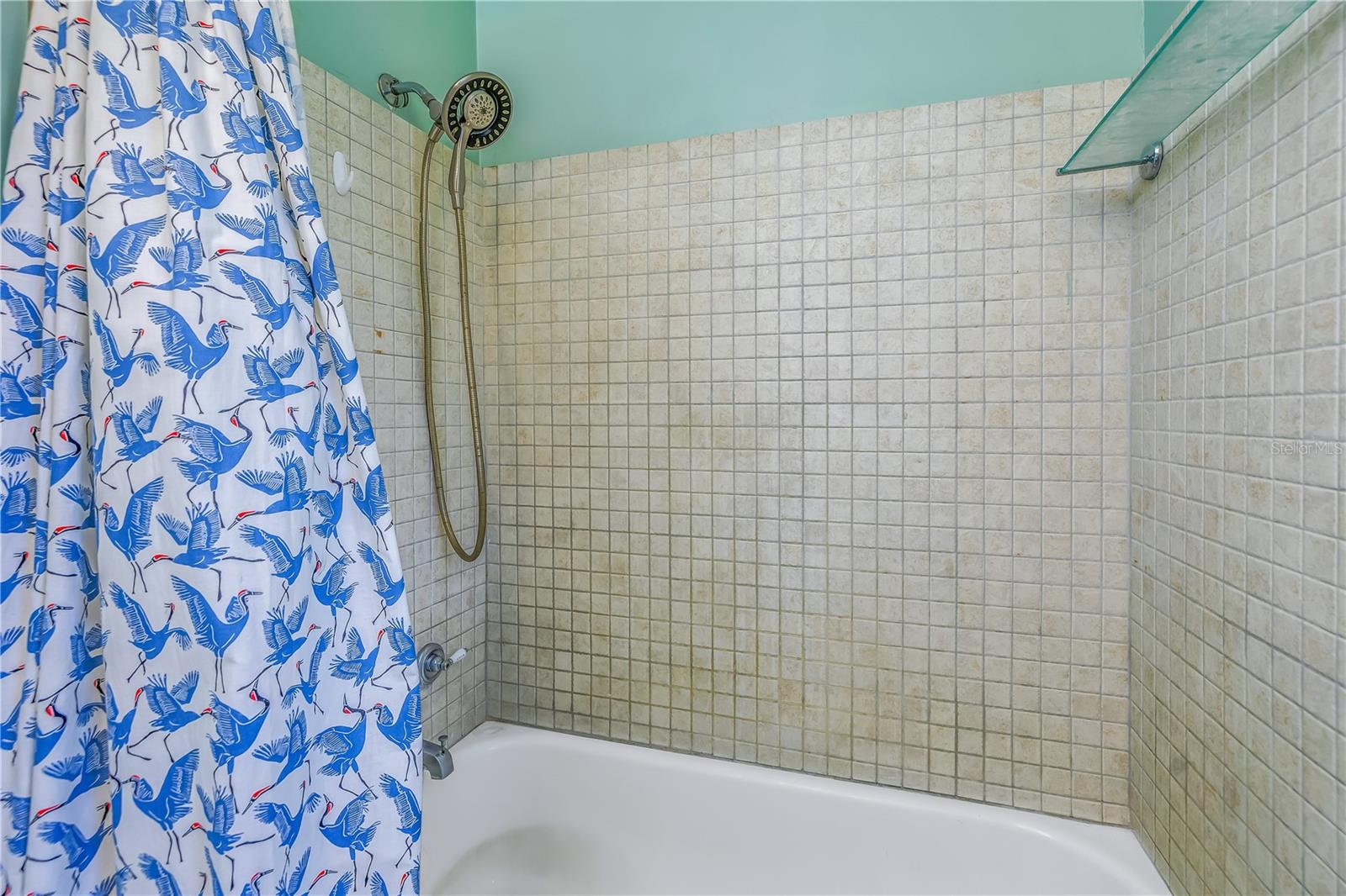 Tub shower in hall bath