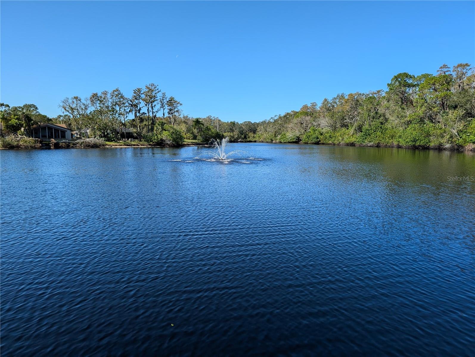 Lovely pond view in neighborhood