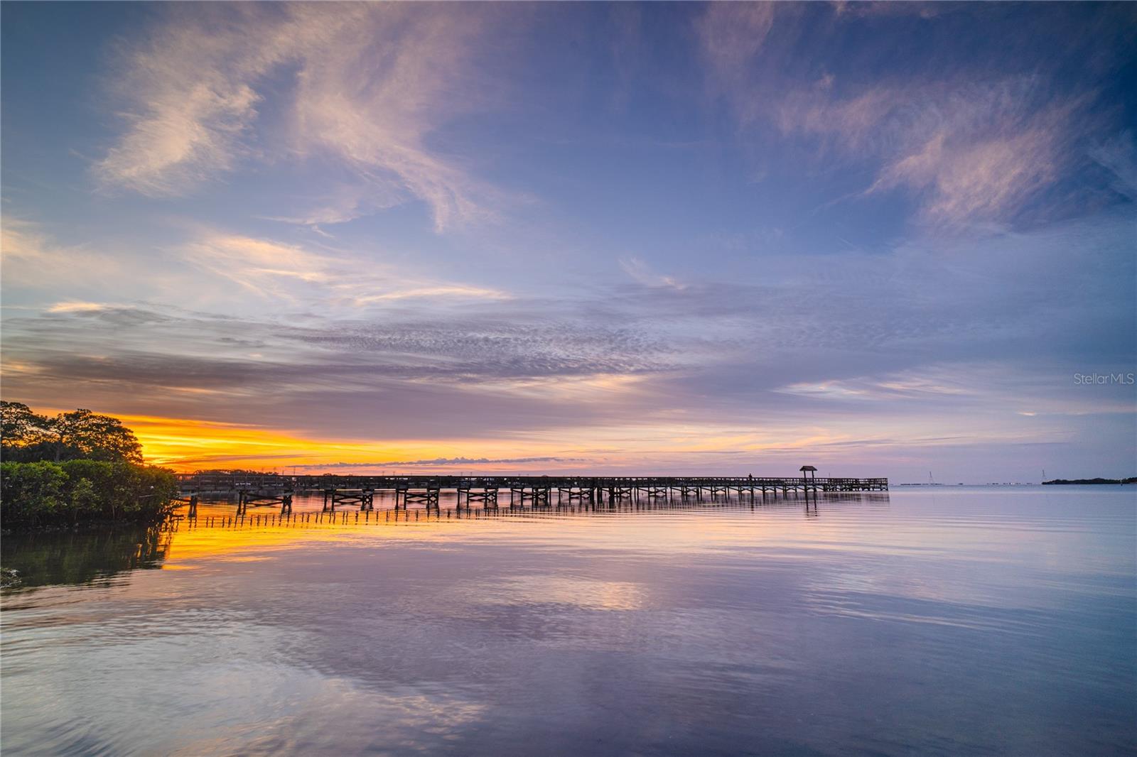 Pier at RE Olds park