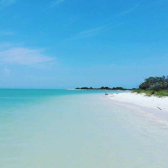 Honeymoon Island 10 min away south