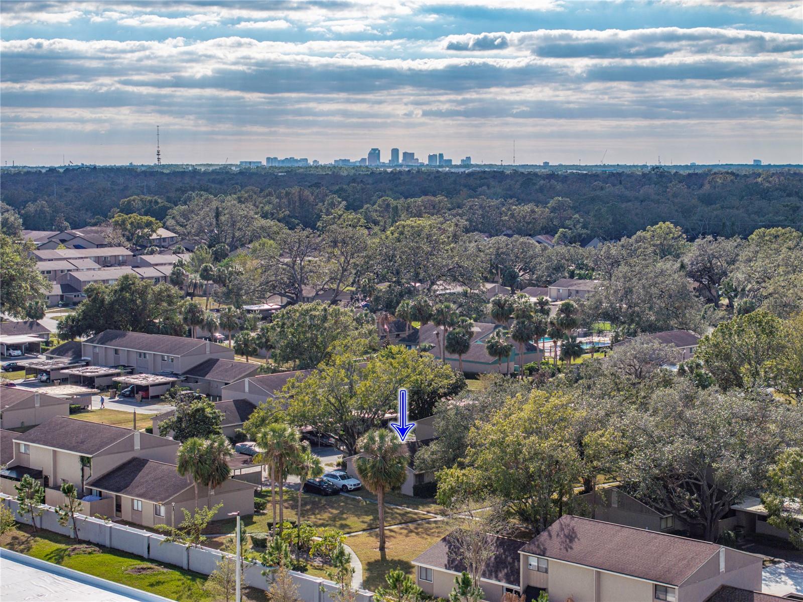 Arial Shot of Unit and Downtown