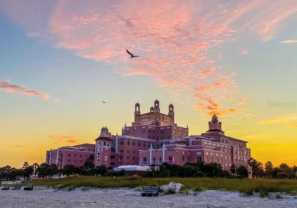 The Don Cesar Resort