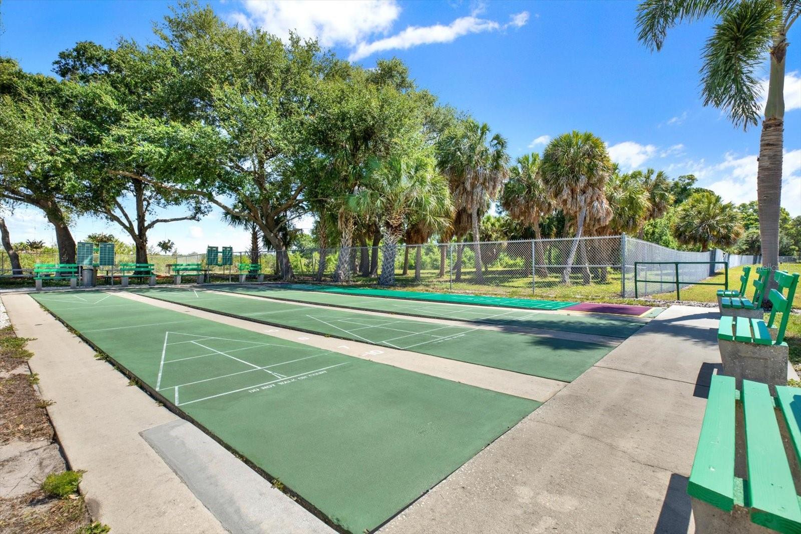 Shuffleboard