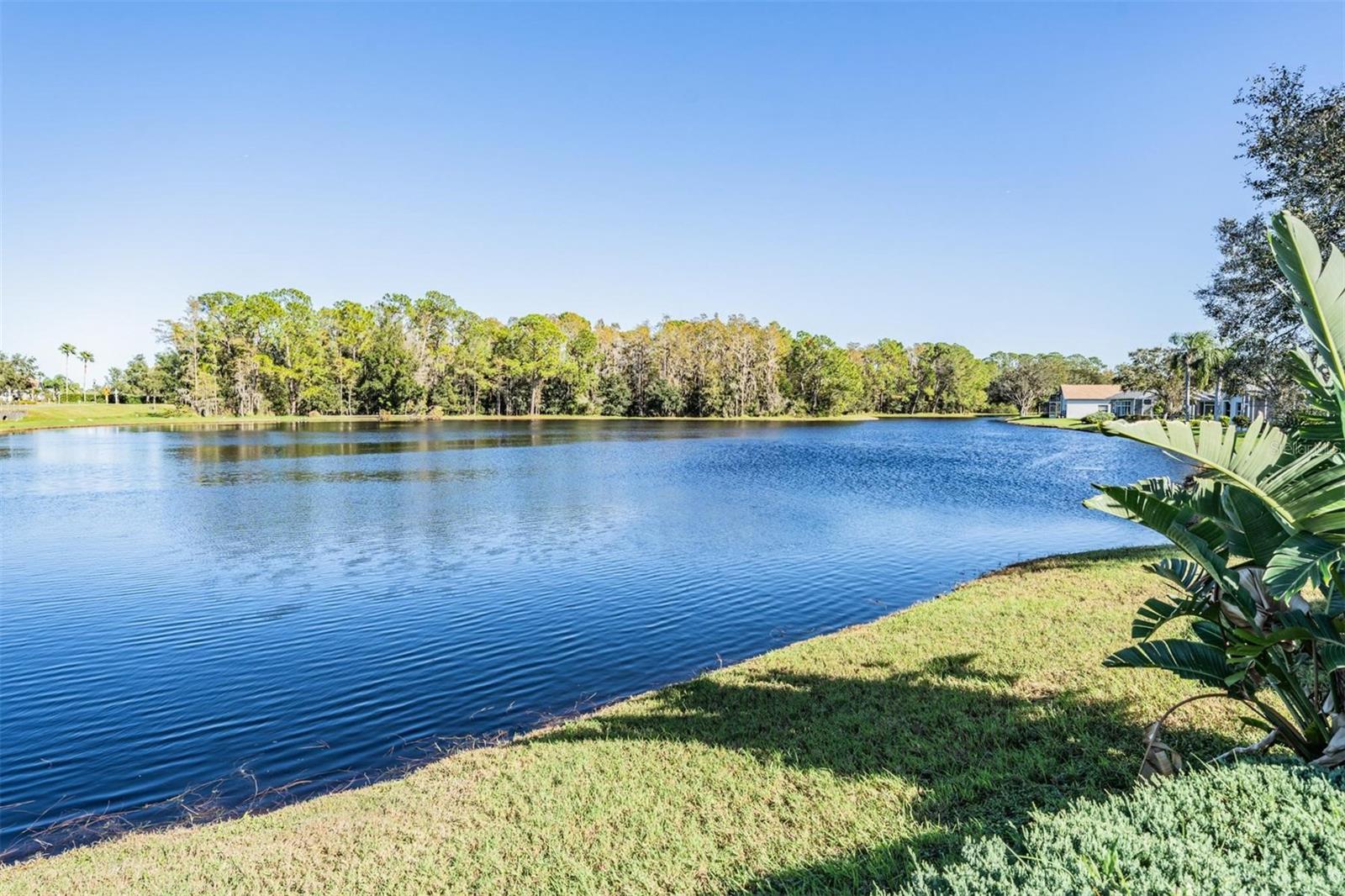 Watch wildlife and relax with this great view!