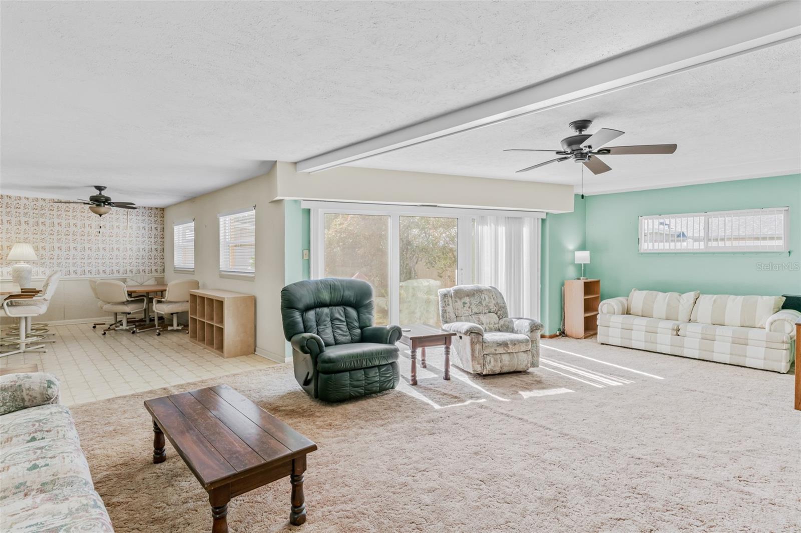 LARGE Family Room