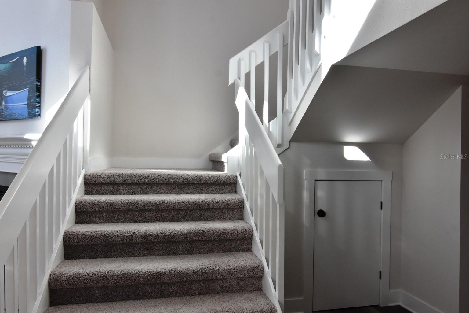 Bottom of the stairs with storage underneath with door.