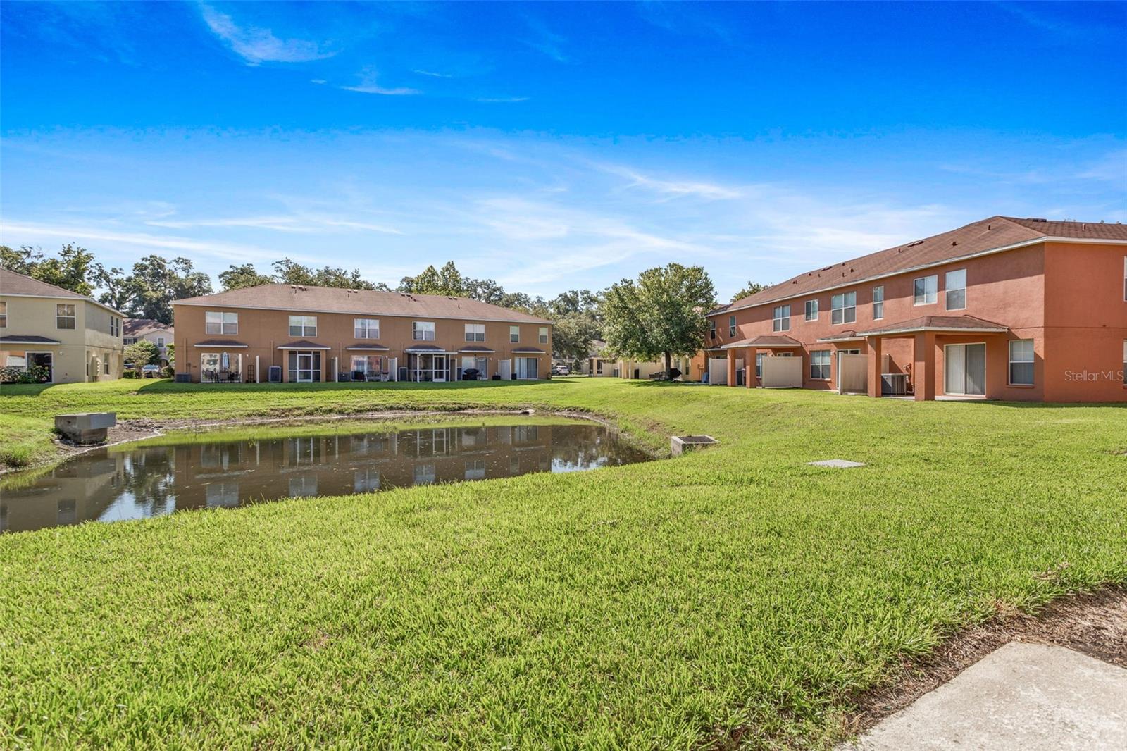 Pond View